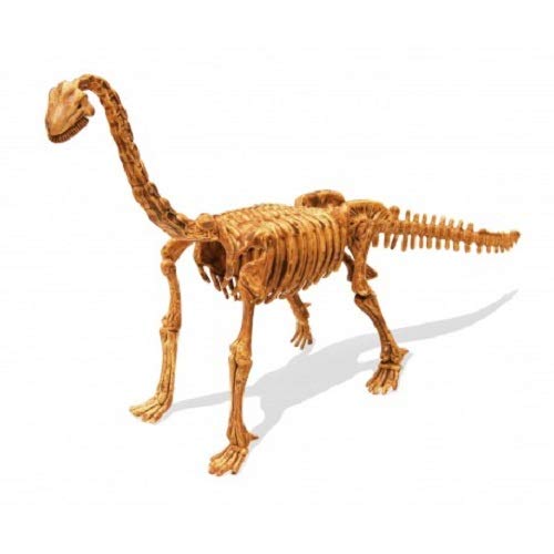 Buki France- Dino Kit, Figura de Brachiosaurus (439BRA)