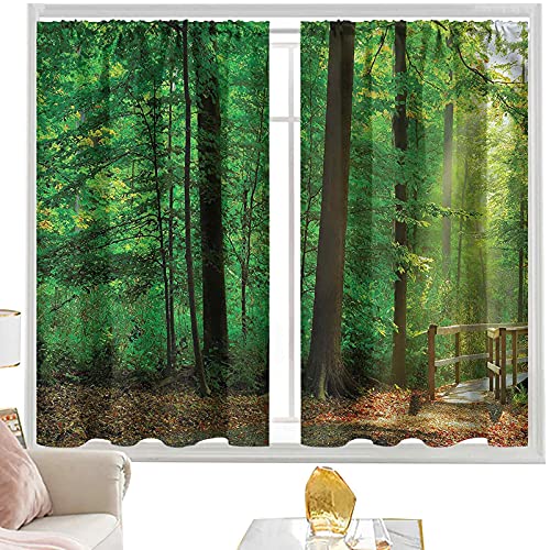Cortinas y cortinas Paisaje, rastro natural vigas de sol W52 x L54 pulgadas cortinas opacas