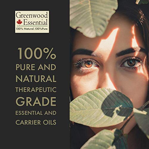 Greenwood Essential Puro Wormwood Aceite Esencial (Artemisia absinthium) 100% Natural destilado al vapor de grado Terapéutico 30ml (1 oz)