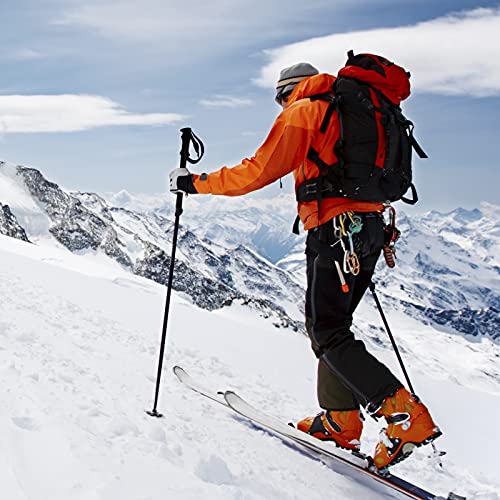 NZEROWAX - Cera Orgánica para Esquís, Aplicador Universal Alpine Touring, 100 ml | Cera para Ski de Montaña 100% Vegetal, Sostenible y ECO