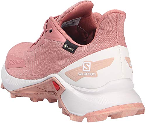 Salomon Alphacross Blast Gore-Tex (impermeable) Mujer Zapatos de trail running, Rojo (Brick Dust/Lunar Rock/Sirocco), 45 ⅓ EU