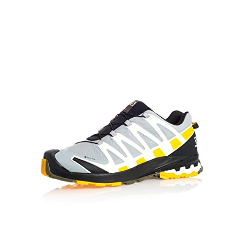 Salomon XA Pro 3D V8 Gore-Tex (impermeable) Hombre Zapatos de trail running, Gris (Quarry/Saffron/Olive Night), 42 EU