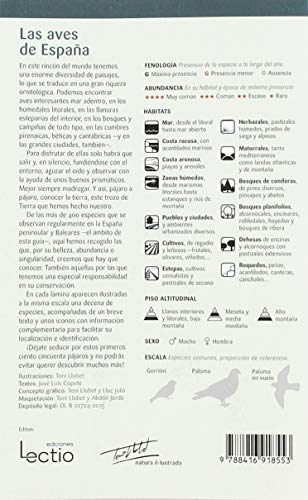 150 aves de España que hay de conocer: que hay que conocer (Miniguía de campo)