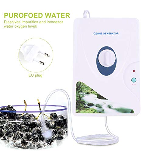 600 mg/h Digital de Ozono generador de ozono desintoxicación Máquinas Para frutas verduras carne Agua dulce Hydro ponics