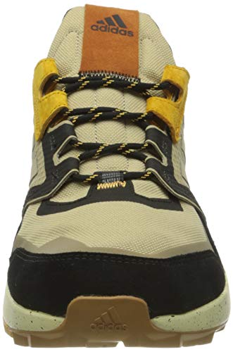 adidas Terrex Trailmaker Blue, Zapatillas de Hiking Hombre, Sabana/NEGBÁS/Dorsol, 42 EU