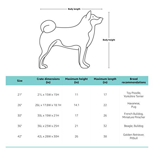 Amazon Basics - Transportín plegable para mascotas suave, alta calidad, 76 cm, Gris