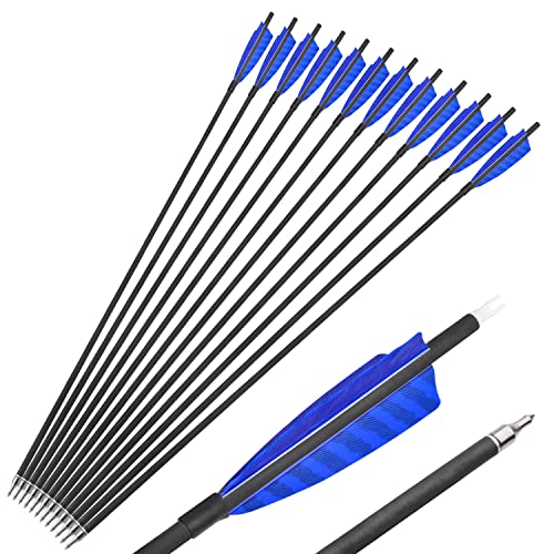 AMEYXGS 31" Flechas de Carbonotiro Flechas de Caza 500 Espina Flechas de Destino con Pluma de Pavo Natural de 4" 100 Grano Puntos para Arco Recurvo Arco Compuesto (12pcs, Azul)