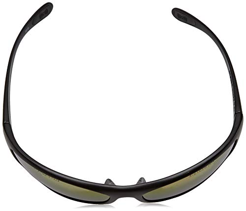 Bolle safety SPIFLASH - Gafas de seguridad, borde negro
