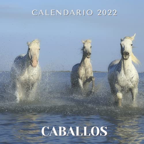 Calendario 2022 caballos: Mensual de Enero a Diciembre - Calendario de 12 Meses - 12 magnificas Fotos en color - para los que les gustan los Caballos