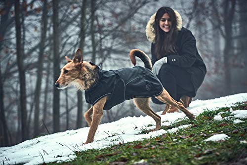 Cazador Uppsala Softshell - Abrigo para Perro, 50 cm, Color Negro