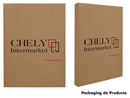Chely Intermarket, Marco Clip 40x60 cm de metacrilato | Soporte sin Marco para fotografías, Posters, certificados y Recuerdos. Complemento idóneo para Colgar en la Pared(300-40x60-1)