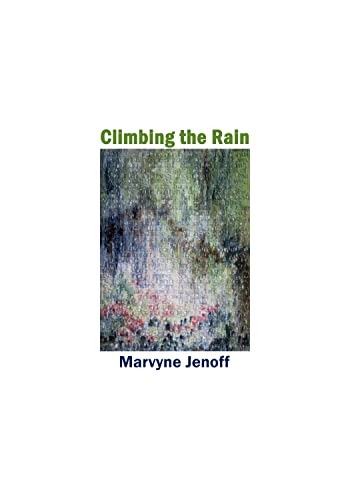 Climbing the Rain (English Edition)