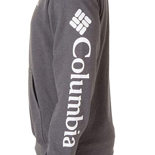 Columbia Viewmont™ II Sleeve Graphic Hoodie