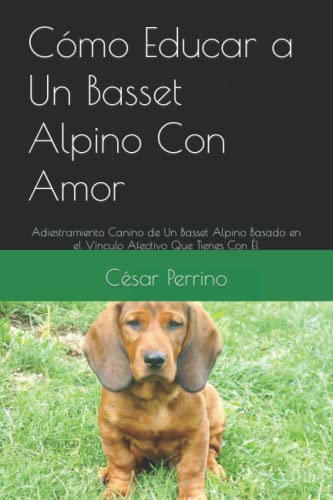 Cómo Educar a Un Basset Alpino Con Amor: Adiestramiento Canino de Un Basset Alpino Basado en el Vínculo Afectivo Que Tienes Con Él