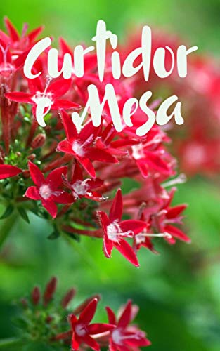 Curtidor e Mesa (Portuguese Edition)