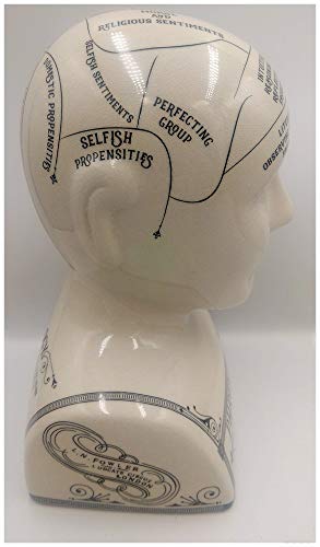 F&G Supplies Maravillosa cabeza de cerámica agrietada grande para tatuajes de frenología – Una divertida versión moderna del arte victoriano de la frenología de 30 cm de alto.
