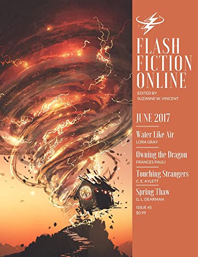 Flash Fiction Online June 2017 (Flash Fiction Online 2017 Issues) (English Edition)