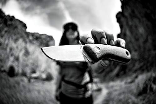 Gerber Cuchillo para exteriores con funda, Longitud de la hoja 6 cm, Vertebrae Fixed Blade Outdoor Knife, Verde, 31-003689