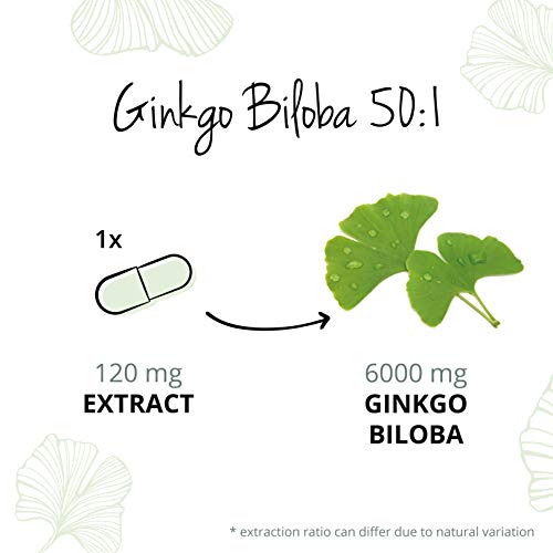 Ginkgo Biloba Vegavero® 6000 mg | El Único Estandarizado | 24% Flavonoides y 6% Terpenos | Sin Estearato de Magnesio | Salud Cardiovascular + Nootrópicos Memoria + Antioxidante | 180 Cápsulas