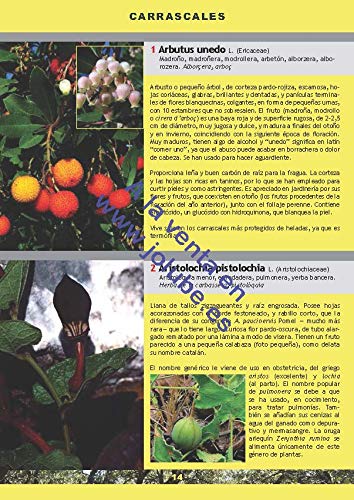Guía imprescindible de las flores del Prepirineo y territorios vecinos