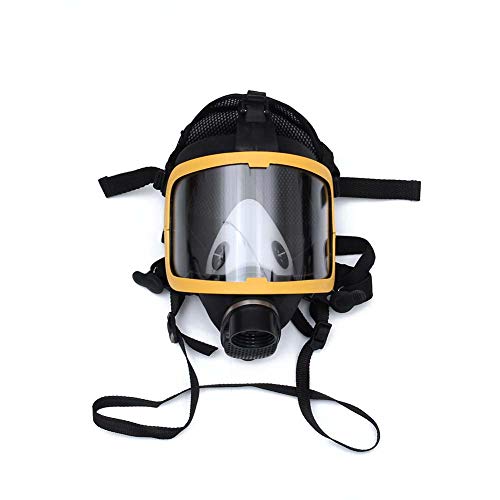 Harwls Electric Supplied Air Fed Full Face Gas Mask Constant Flow Respirator System Device