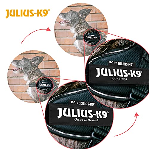 JULIUS-K9 IDC Arnés para perros, talla 0/M, 58–76 cm, peso 14-25 kg, Rojo,