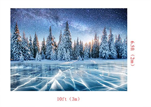 Kate Invierno Nieve Bosque fotografía Fondo sin Costuras Fondo de Fotos de Invierno Lago Helado Fotostudio achtergrond Star Noche sfondo fotografico 10 x 6,5 pies/3 x 2 m