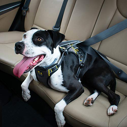 Kurgo - Arnés de Seguridad para Perros, fijación Universal para cinturón de Seguridad a través de bucles Integrados, tamaño pequeño, Apto para Razas pequeñas, Ajuste Ajustable