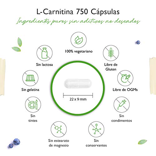 L-Carnitina - 180 cápsulas veganas - Altamente dosificado con 3000 mg por porción diaria - Premium: 100% L-Carnitina Tartrato sin aditivos - Vegano