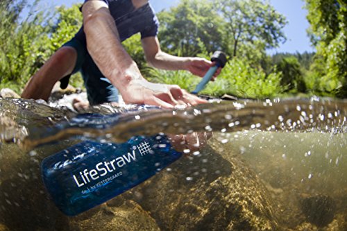 LifeStraw Go 2-Stage - Botella con filtro de agua de 2 etapas