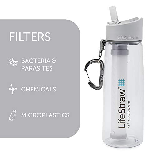 LifeStraw Go 2-Stage Filter Bottle Unisex Adulto, Gris (Clear), 650 ml