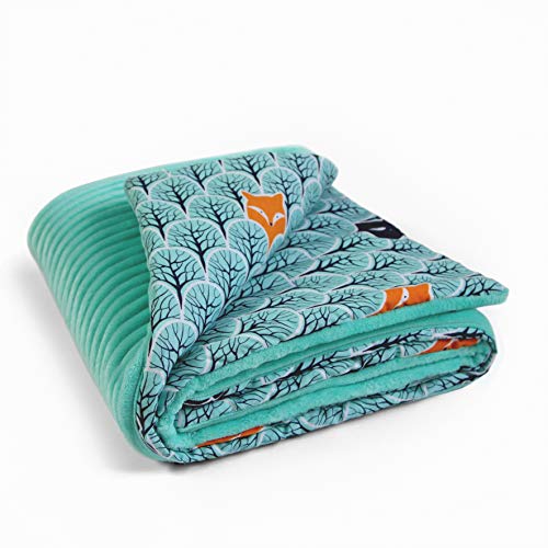 MoMika Baby Blankets 75"x 100"cm Minky Soft Cotton Unisex Toddler Recending Blanket for Girls and Boys Producto europeo de talla única (Mint-Bird)