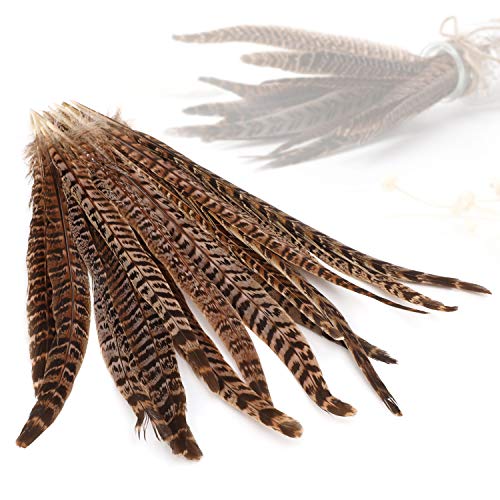 MWOOT plumas de cola de faisán naturales 20pcs 25-30cm decoración ara boda, fiestas de cumpleaños