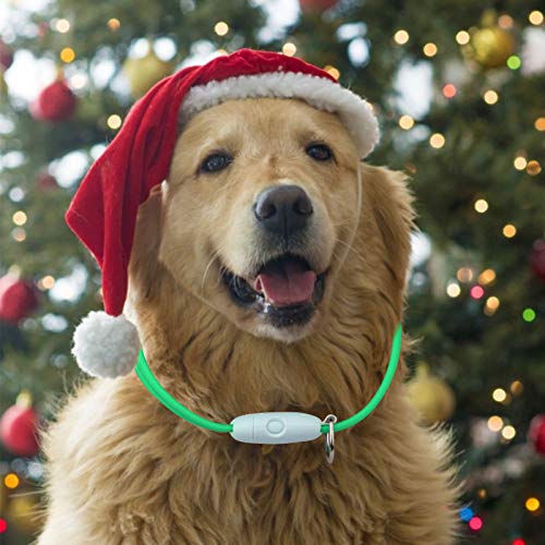 Oladwolf Collar Luminoso Perro, USB Recargable Collar Perro luz Seguro 3 Modos, Collar LED Impermeable Ajustable para Perro y Gato Menos 20kg - Verde