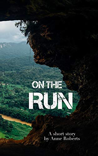 On the Run: A short story (English Edition)