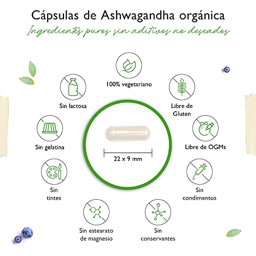 Original Organic Ashwagandha - 365 Cápsulas - Precio de lanzamiento - Altamente dosificado con 1950mg por porción diaria - Genuina baya india para dormir - Vegano