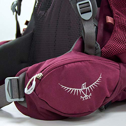 Osprey Renn 50 Women's Ventilated Backpacking Pack - Aurora Purple (O/S)
