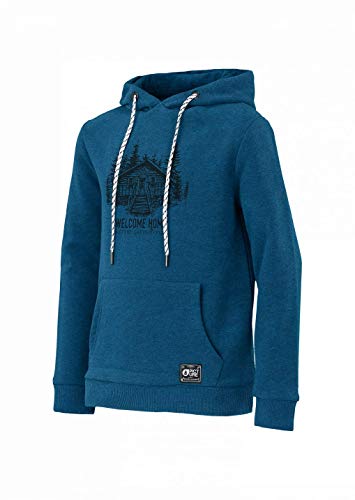 Picture Organic Clothing Colony Hoodie turquesa 12 años