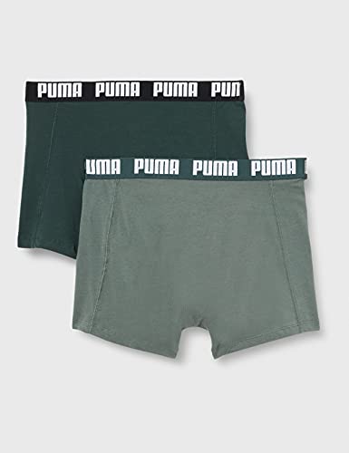 PUMA Calzoncillos básicos Boxer Briefs, Green Combo, XL para Hombre