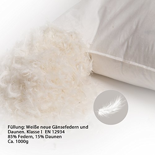 puredown® Almohada Lavable de Plumón y Plumas de Ganso Blanco Juego de 2 Suave Funda 100% Algodón 80 x 80cm