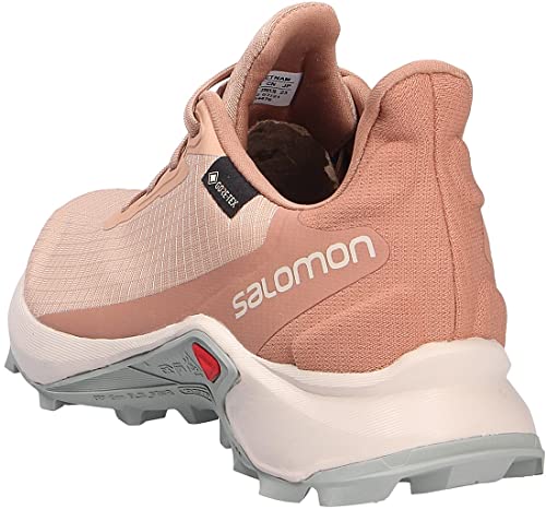 Salomon Alphacross 3 Gore-Tex (impermeable) Mujer Zapatos de trail running, Rosado (Sirocco/Rainy Day/Mocha Mousse), 42 EU