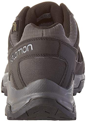 Salomon Effect GTX, Zapatillas de Trail Running Hombre, Multicolor Magnet Black Monument 000, 41 1/3 EU