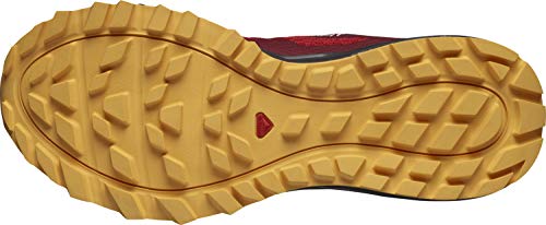 Salomon Trailster 2 Hombre Zapatos de trail running, Rojo (Goji Berry/Ebony/Warm Apricot), 40 EU