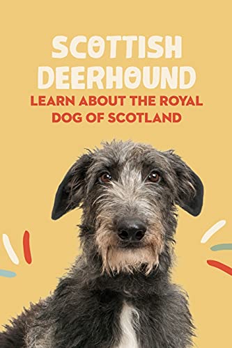 Scottish Deerhound: Learn About The Royal Dog of Scotland: Things You Didn't Know about the Scottish Deerhound Dog
