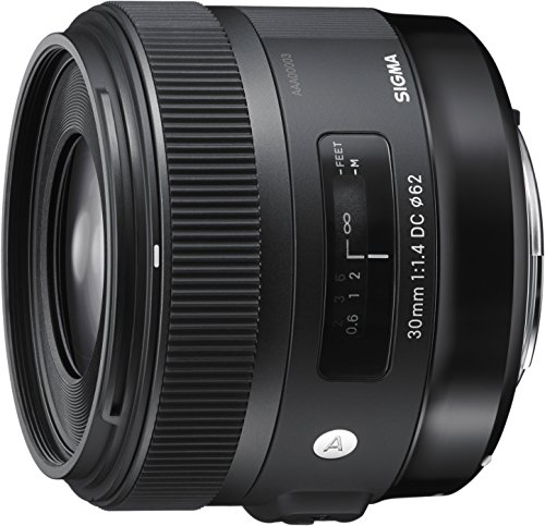 Sigma 30 mm F1.4 DC HSM NA ART - Objetivo para cámara digitales réflex montura Nikon, Negro