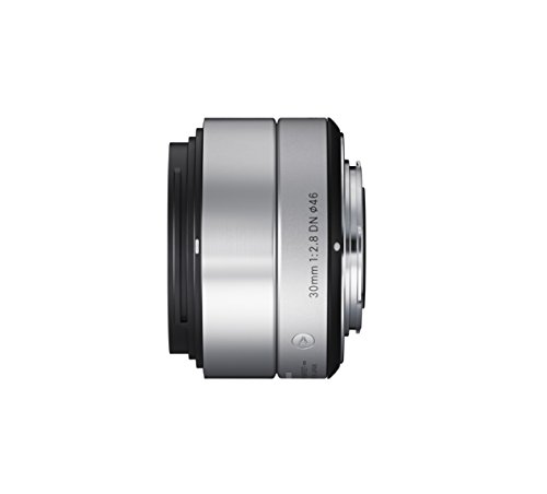Sigma 30 mm F2.8 DN SE Art - Objetivo para cámaras Digitales sin Espejo Montura E (Sony), Plateado