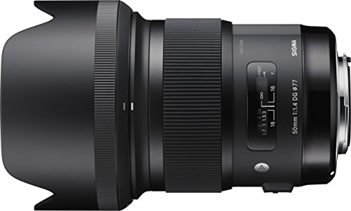 Sigma 50 mm DG HSM - Objetivo para Canon (50 mm, f/1.4), color negro