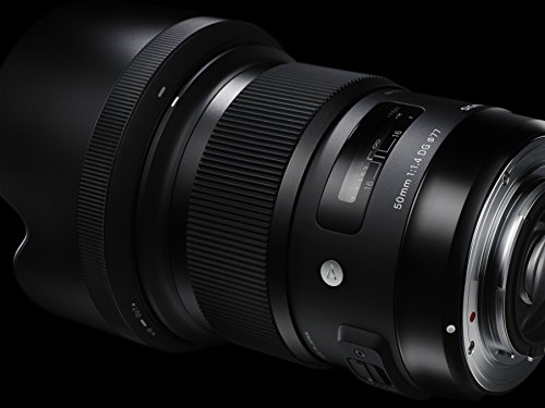 Sigma 50 mm DG HSM - Objetivo para Canon (50 mm, f/1.4), color negro