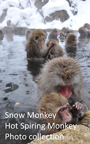 Snow Monkey,Hot Spiring Monkey Photo collection~snow Monkey Park,jigokudani-yaenkoen in Japan (English Edition)