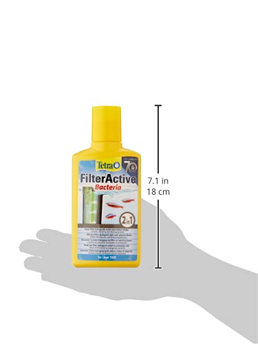 Tetra FilterActive 250 ml - Contiene bacterias iniciadoras vivas y bacterias limpiadoras reductoras de lodo